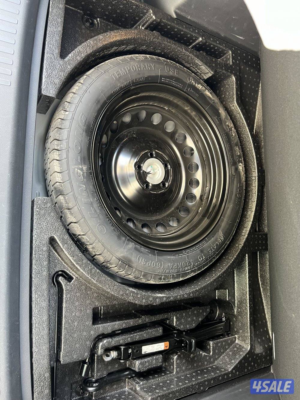 تيريتوري فئة الترند 20258