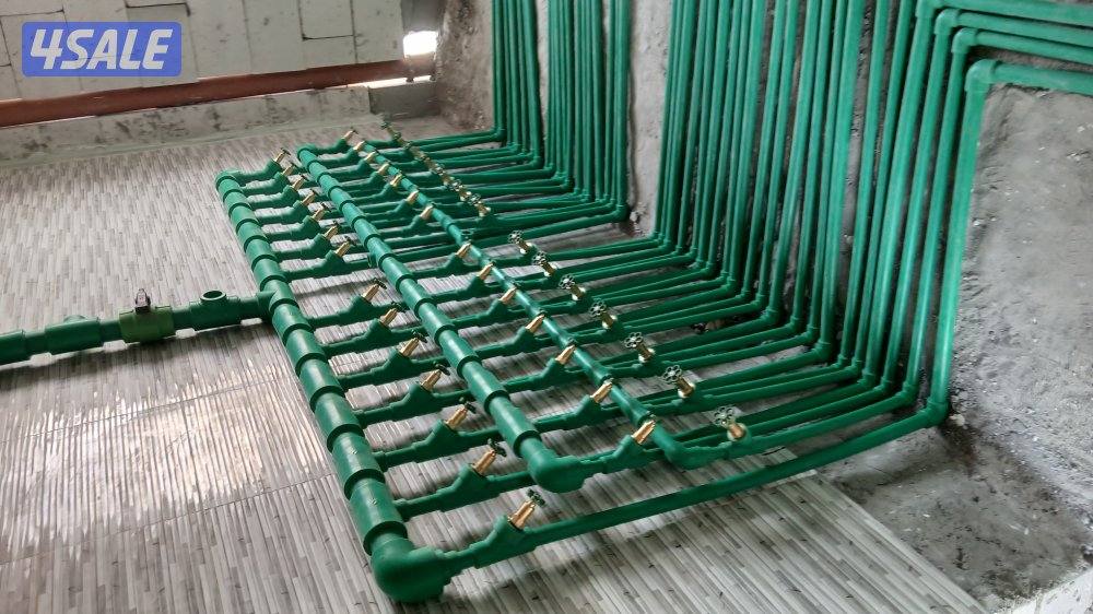 صحي ابو عمرو4