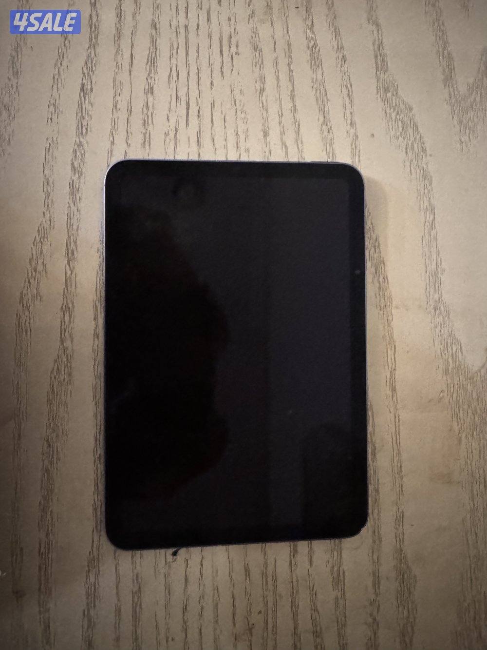 iPad mini 60