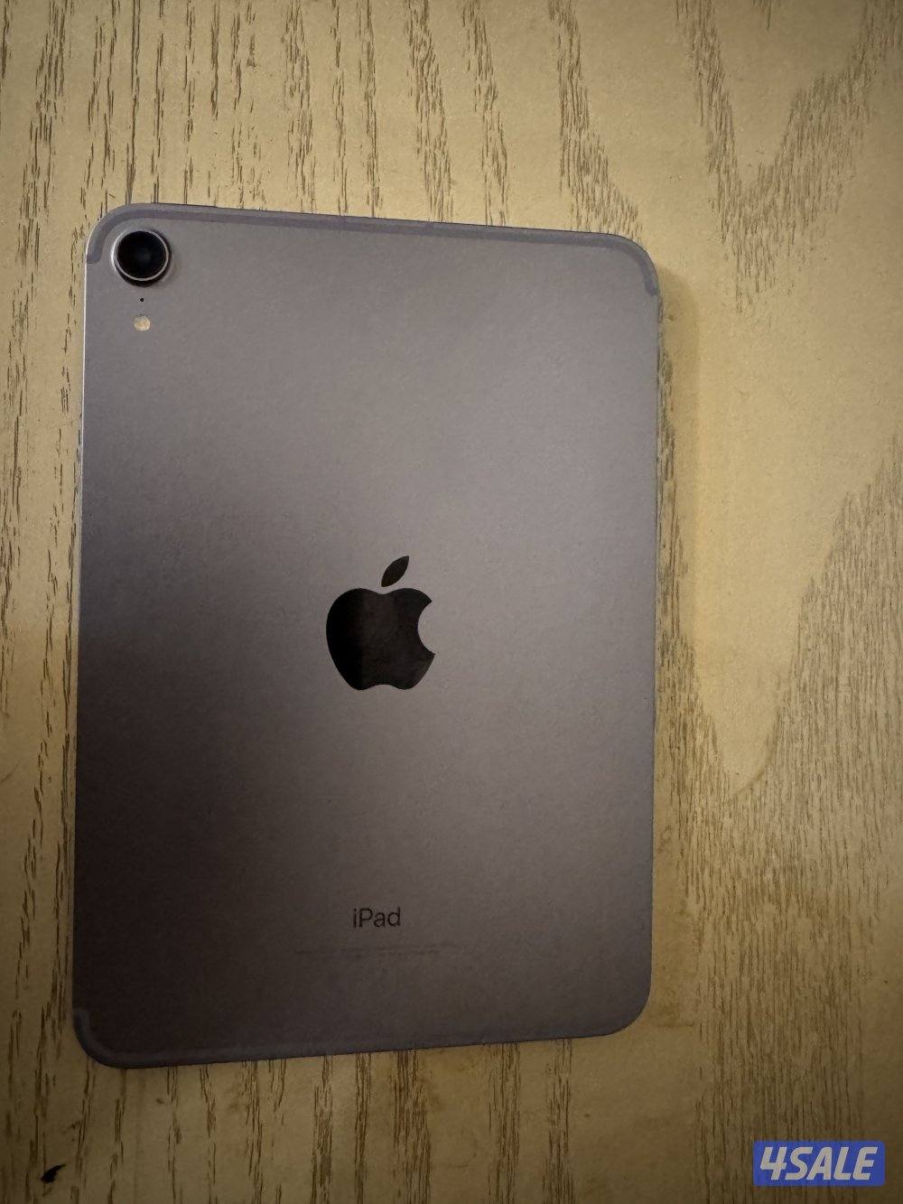 iPad mini 61