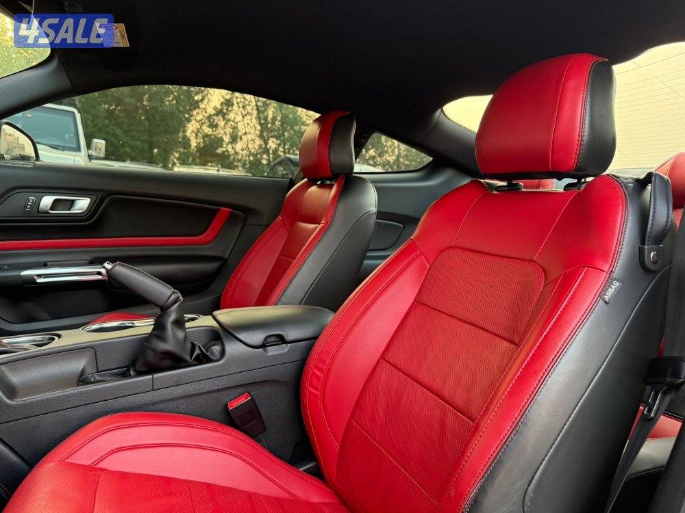 MUSTANG GT 5.0 V8 _2022 صبغ الوكالة9
