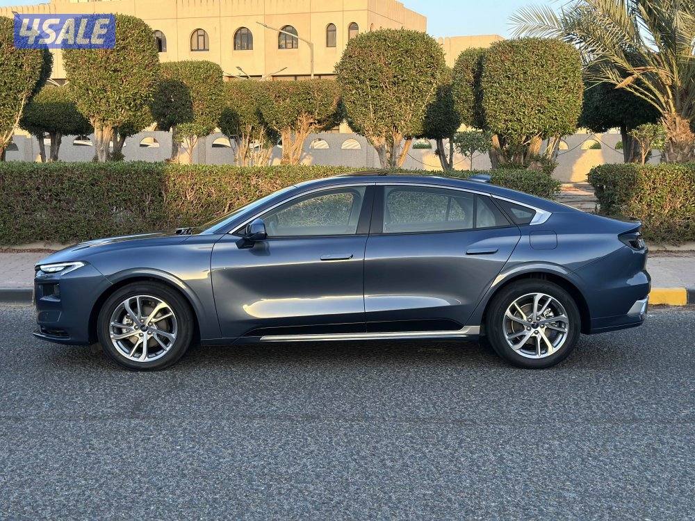 تورس ترند 20236