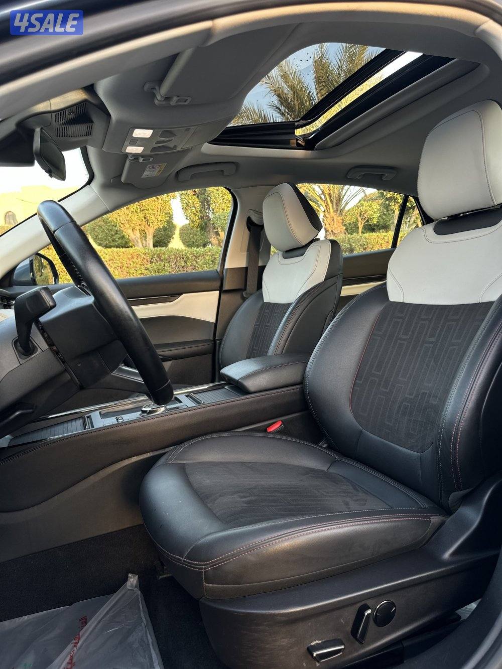 تورس ترند 20238