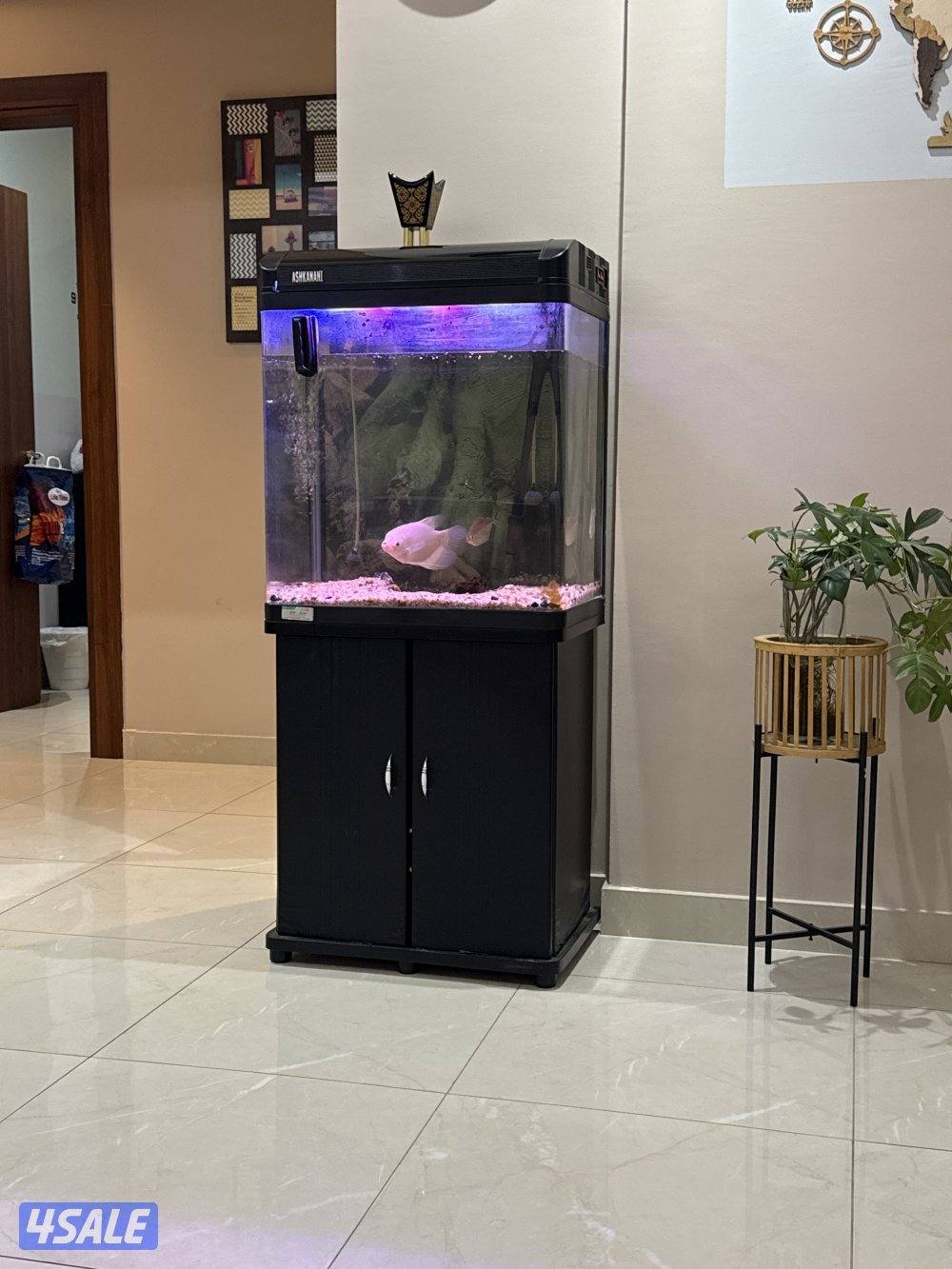 Fish Tank for sale 60 ltr with big filter and stand0