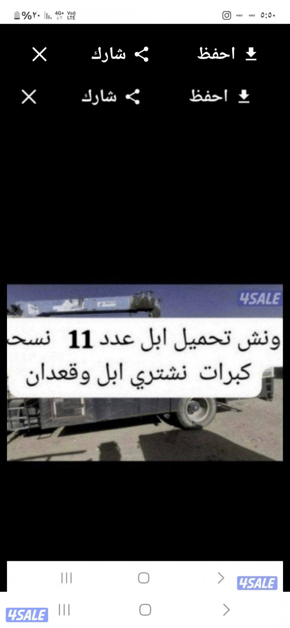 نشتري ابل وحشوونش تحمل بل العدد120