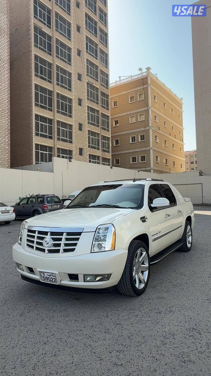 وانيت سكاليد قابل للمساومه بالمعقول0