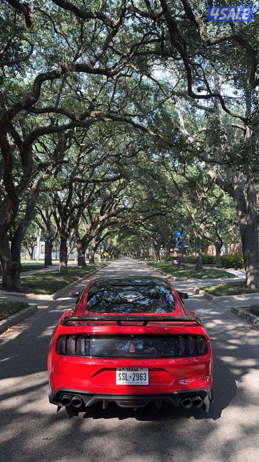 سلوى قطعه 12 شارع 71