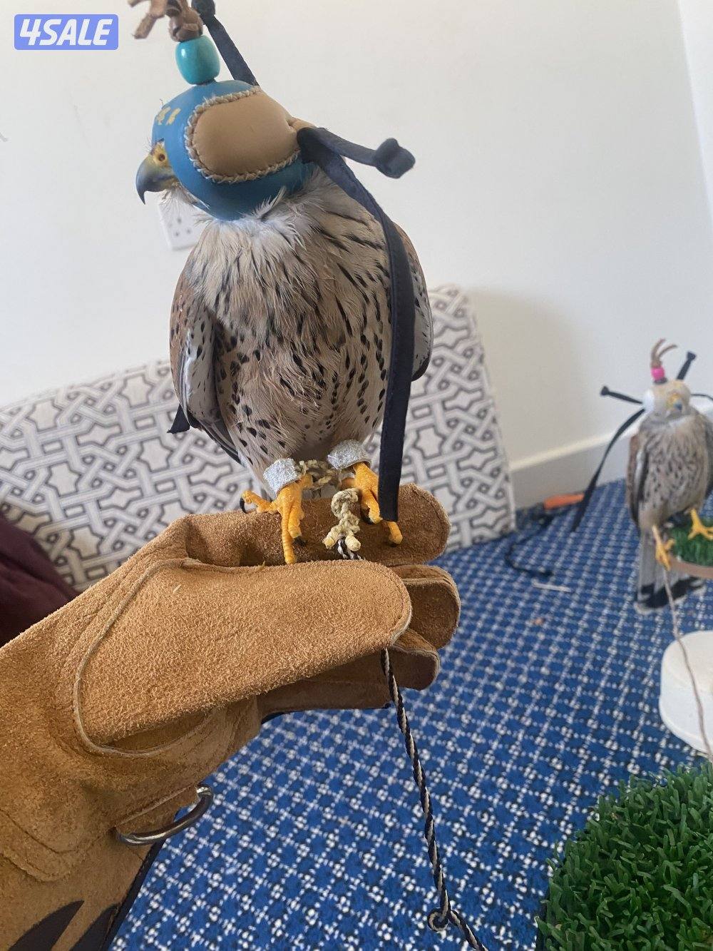 للبيع تر مه3