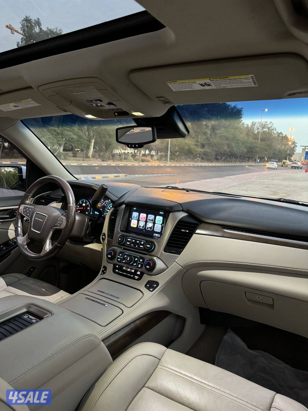 يوكن دينالي 20189