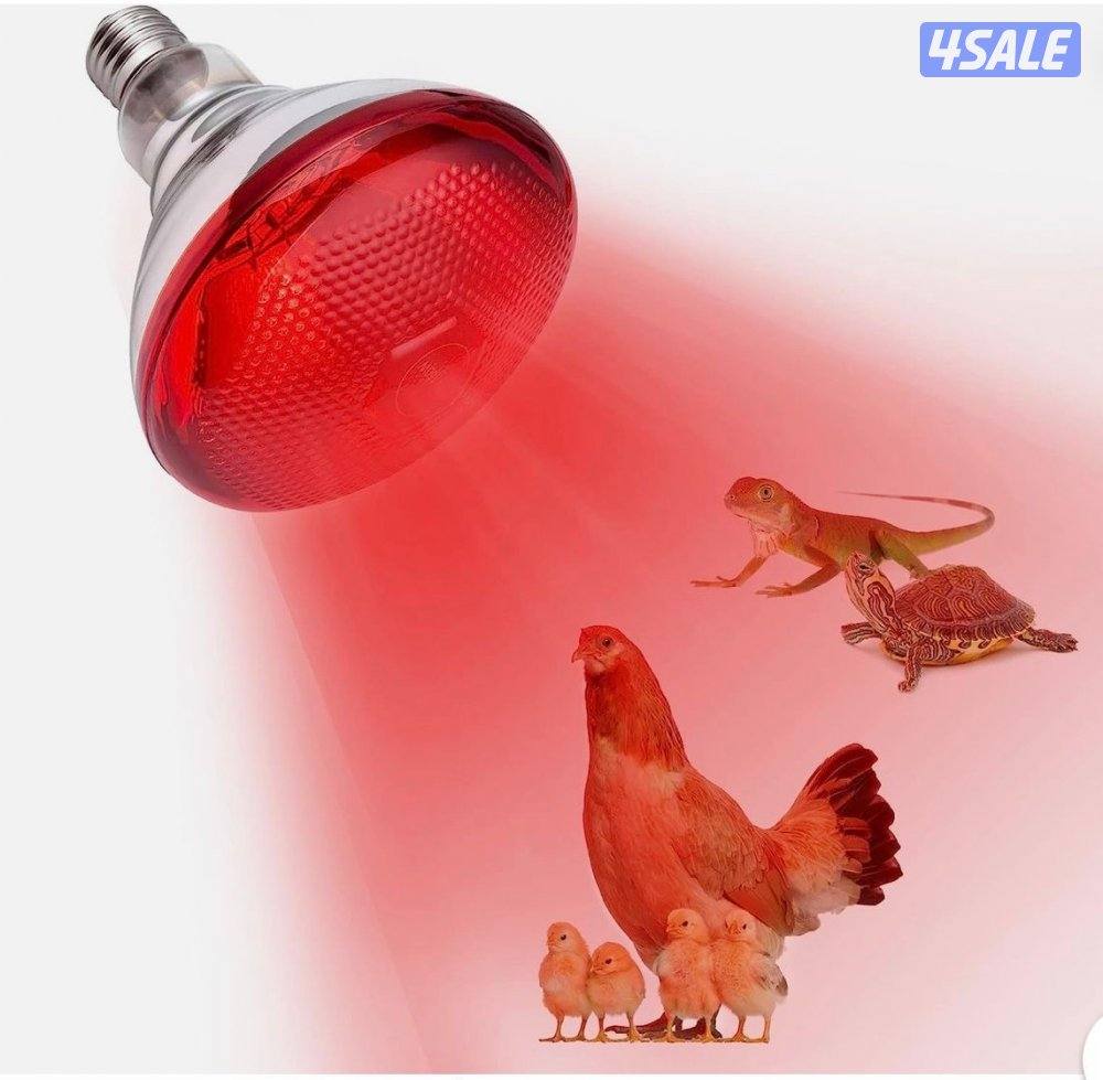 ليتات حرارية ومعالف والاسعار 🔥0