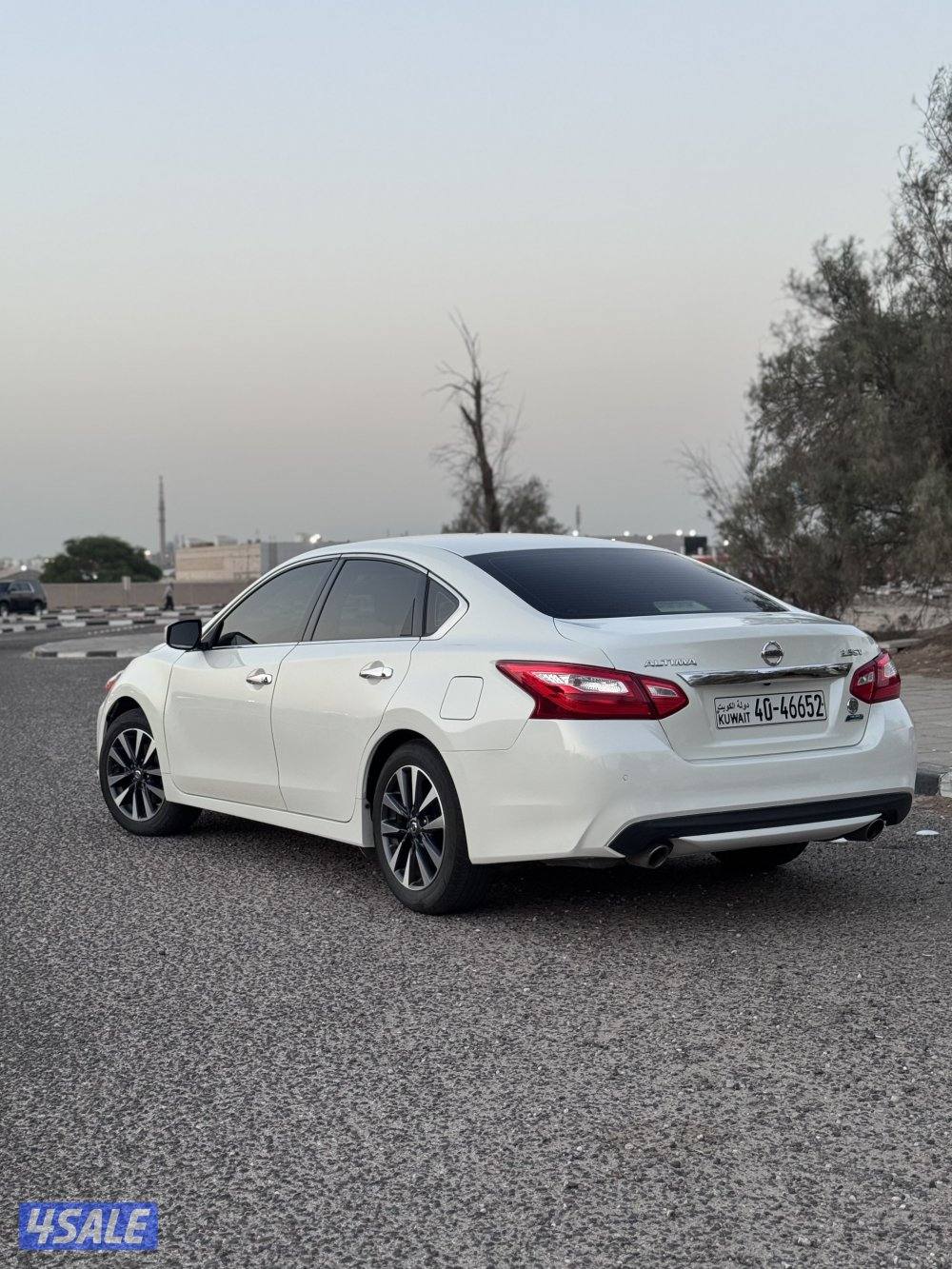 التيما ماشيه ٨٦2