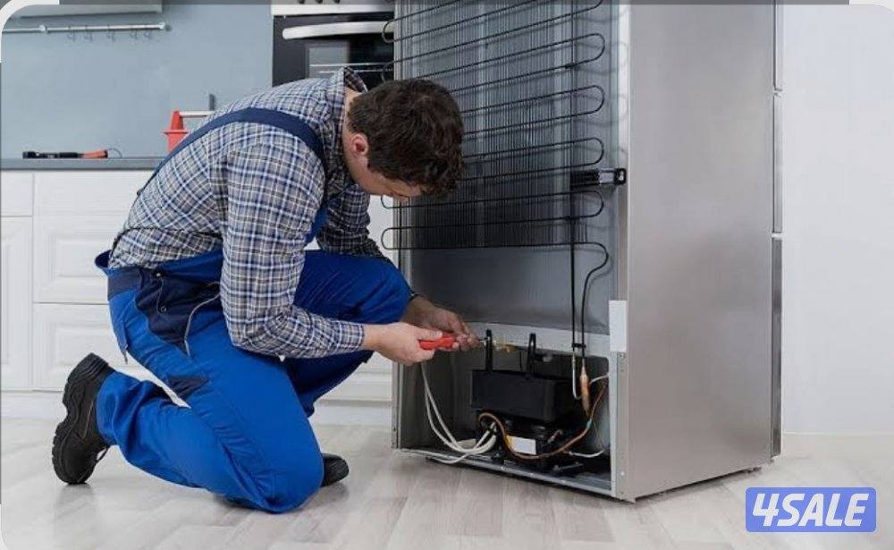 Refrigerator frizer0