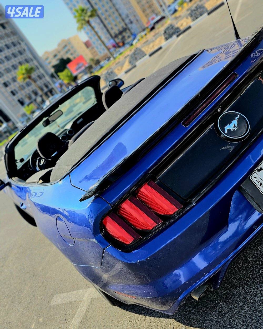 موستنق كشف V6 نظيفة0