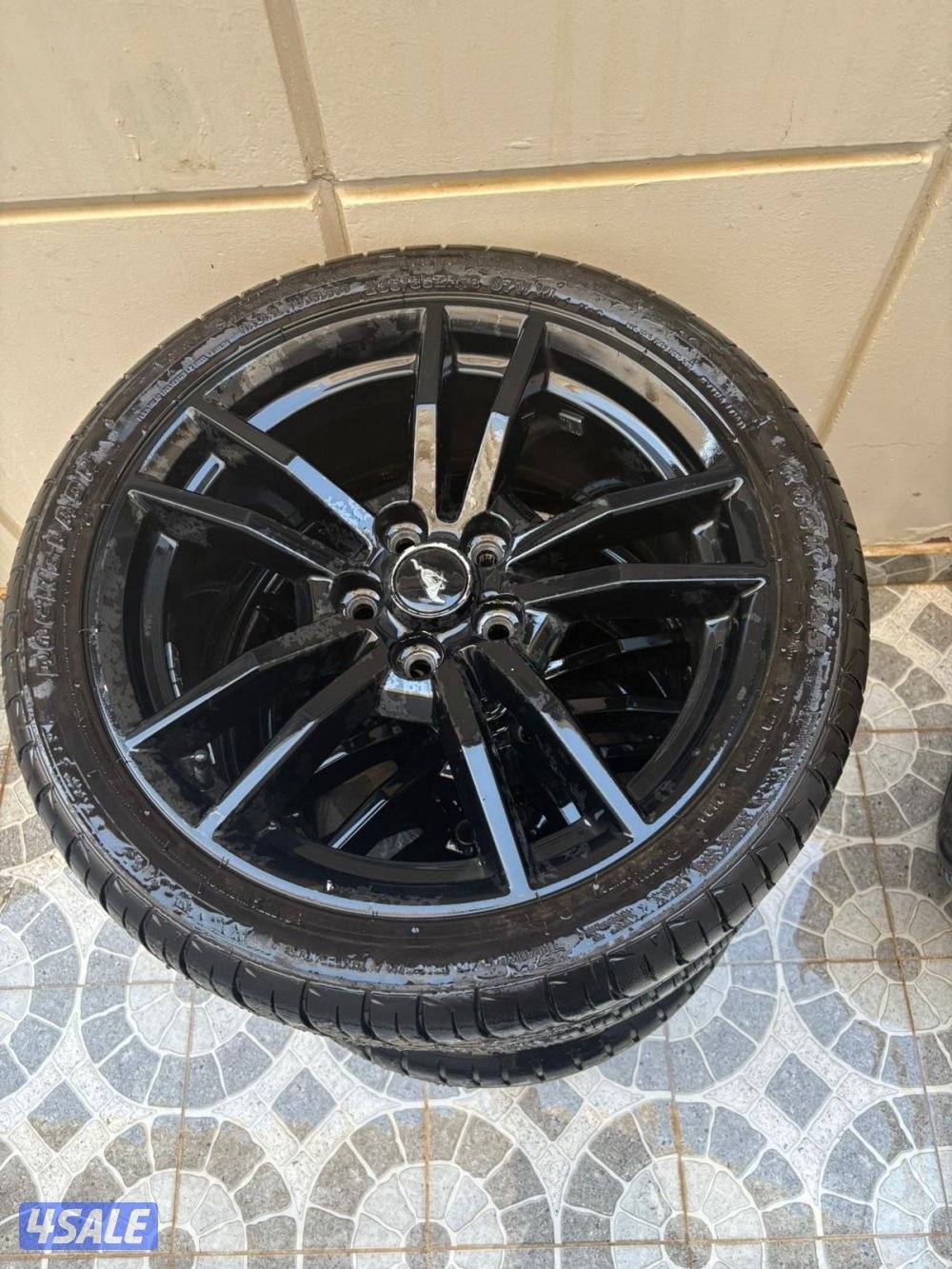 للبيع شوتة موستنق 2015 الي فوق ورنقات3