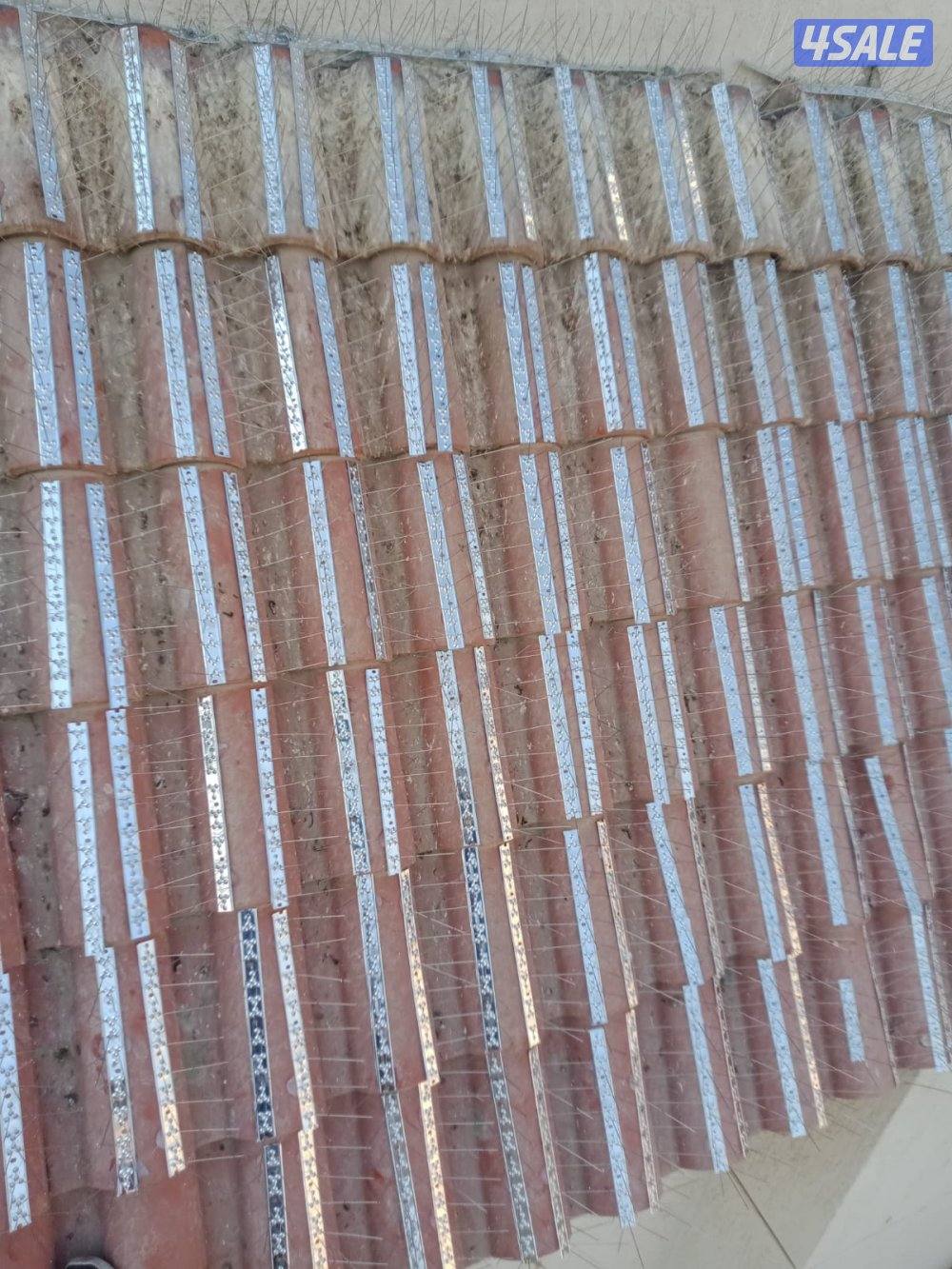 مكافحه حشرات1