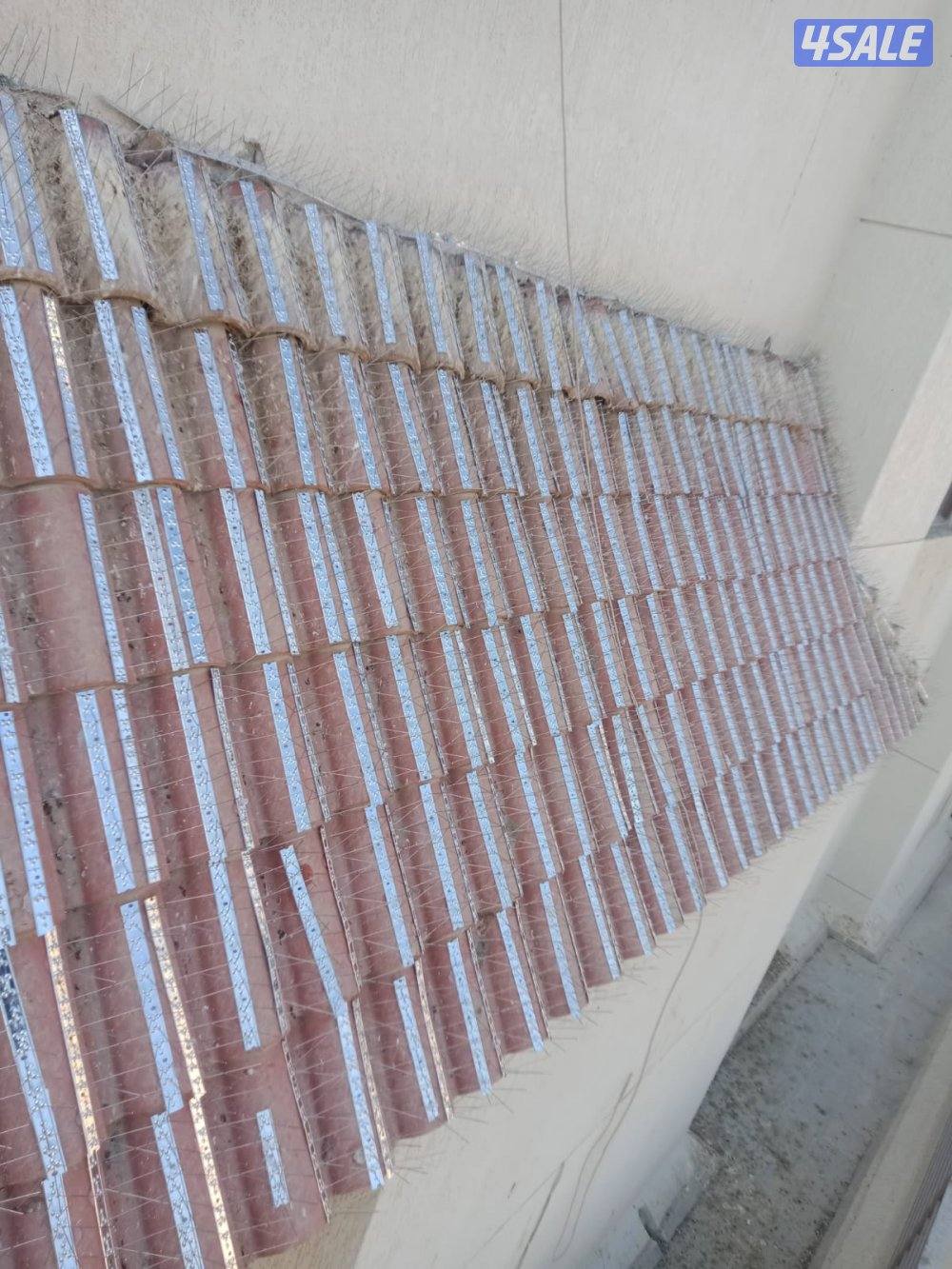 مكافحه حشرات2