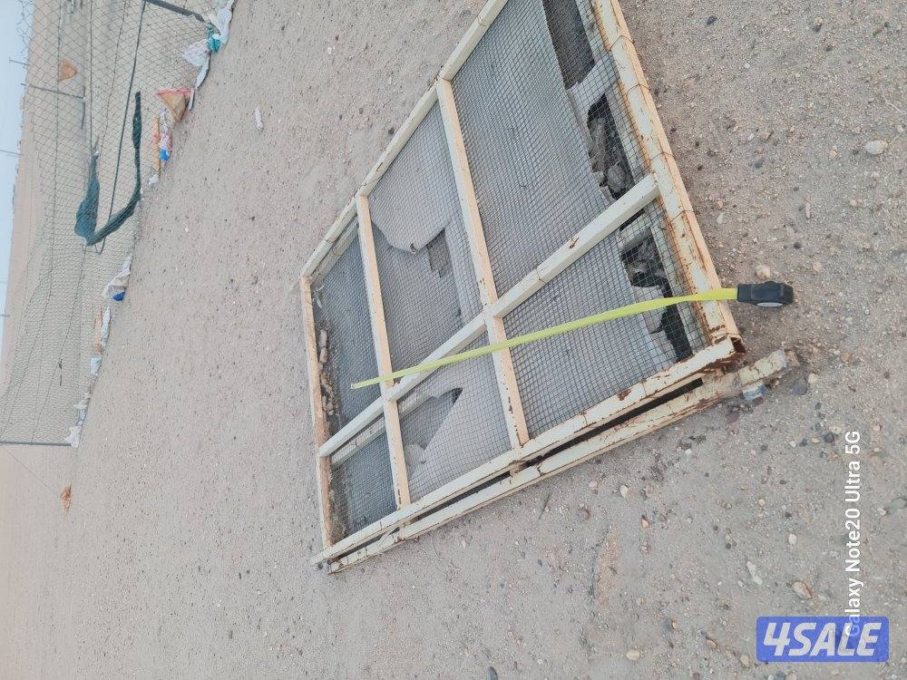 شبوك ابل عالي الجوده1