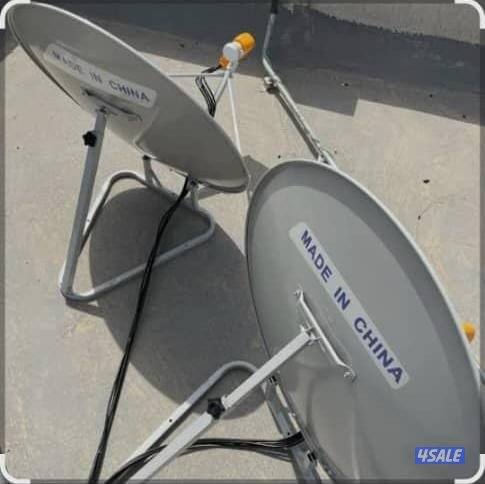 كبد+الهجن+اسطبلات الفروانيه5