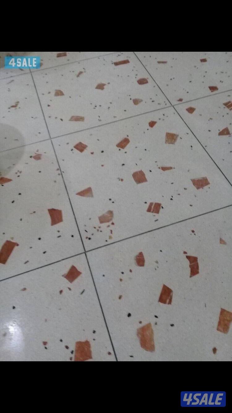 معلم بلاط متداخل وكربستون وكاشي ومصفت سيارات وصبت موزاييك ارضيات3
