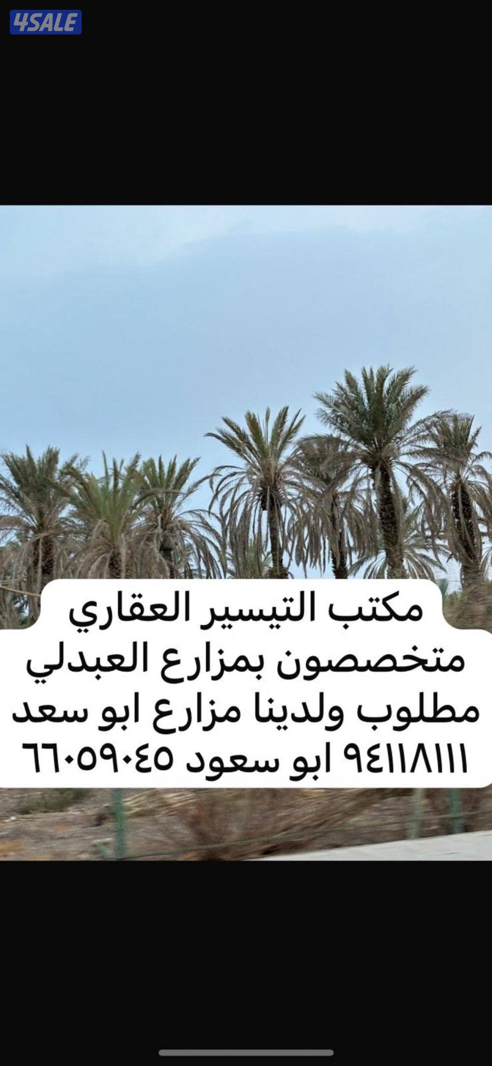 مطلوب ولدينا مزارع بالعبدلي مكتب التيسير العقاري ابو سعد ابو سعود0
