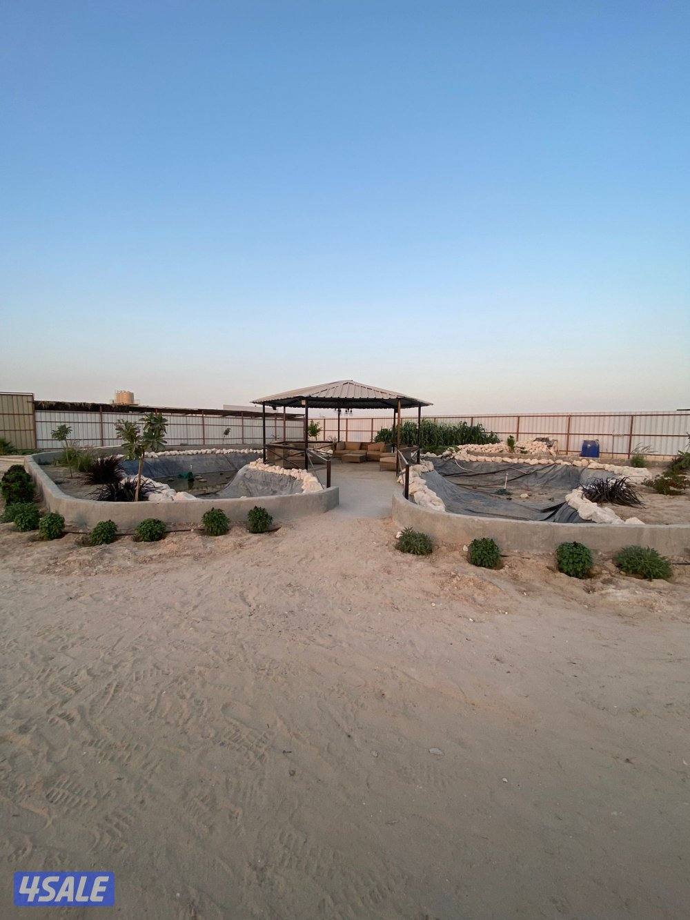 للبيع مزرعه بالوفره طريق٥٠٠ شركات نباتيه او بدل مع جاخور ودفع الفرق2