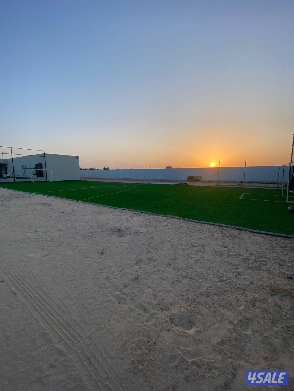 للبيع مزرعه بالوفره طريق٥٠٠ شركات نباتيه او بدل مع جاخور ودفع الفرق3