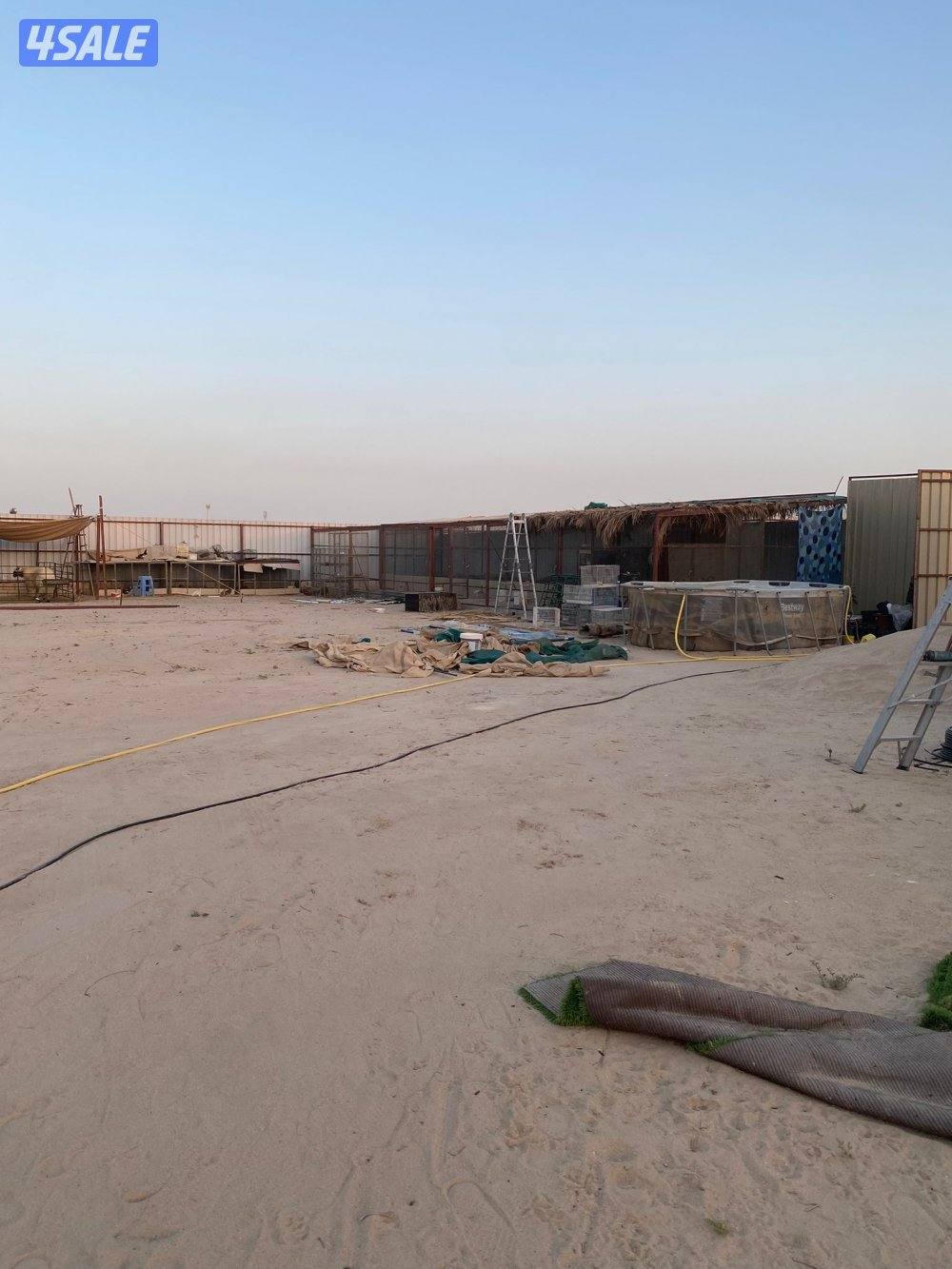 للبيع مزرعه بالوفره طريق٥٠٠ شركات نباتيه او بدل مع جاخور ودفع الفرق5