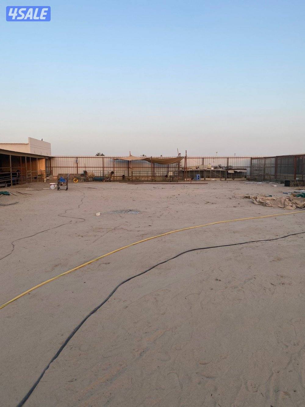 للبيع مزرعه بالوفره طريق٥٠٠ شركات نباتيه او بدل مع جاخور ودفع الفرق7