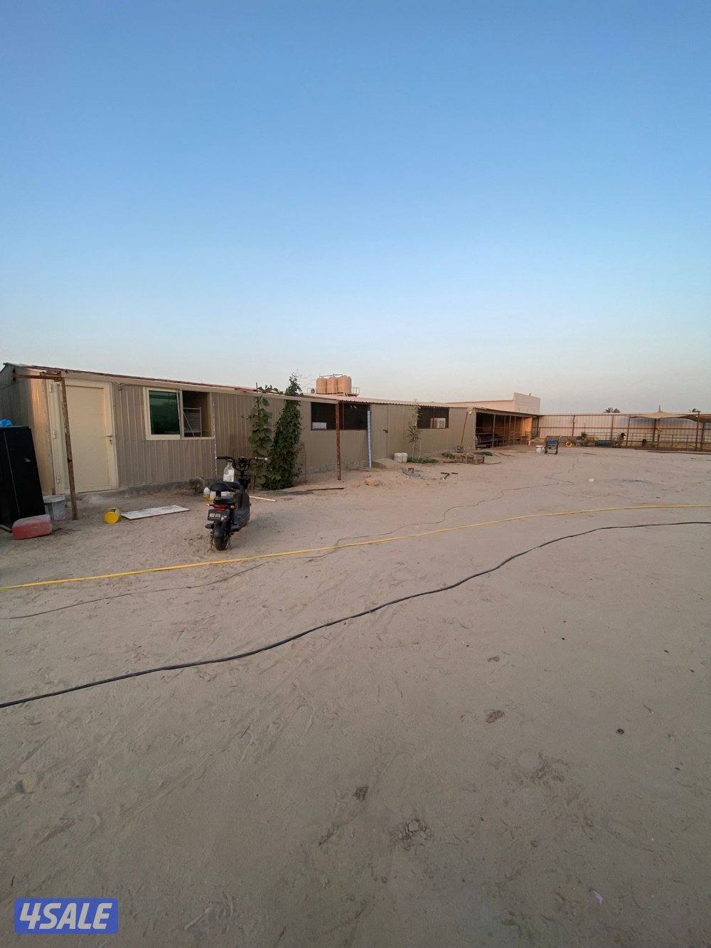 للبيع مزرعه بالوفره طريق٥٠٠ شركات نباتيه او بدل مع جاخور ودفع الفرق8