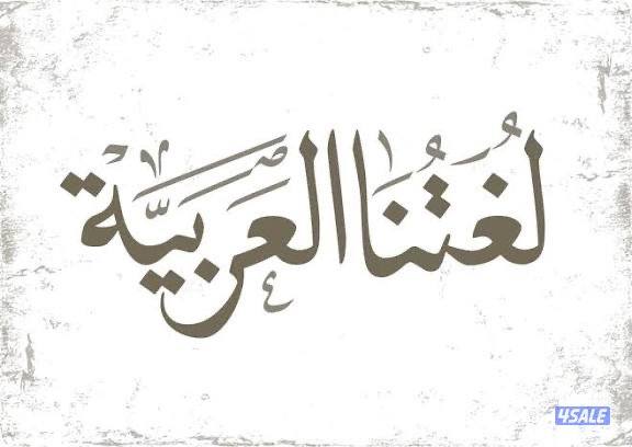 مدرس لغة عربية وتأسيس المرحلة الابتدائية0