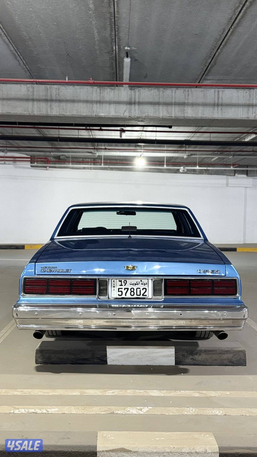 شفر كابرس 19900