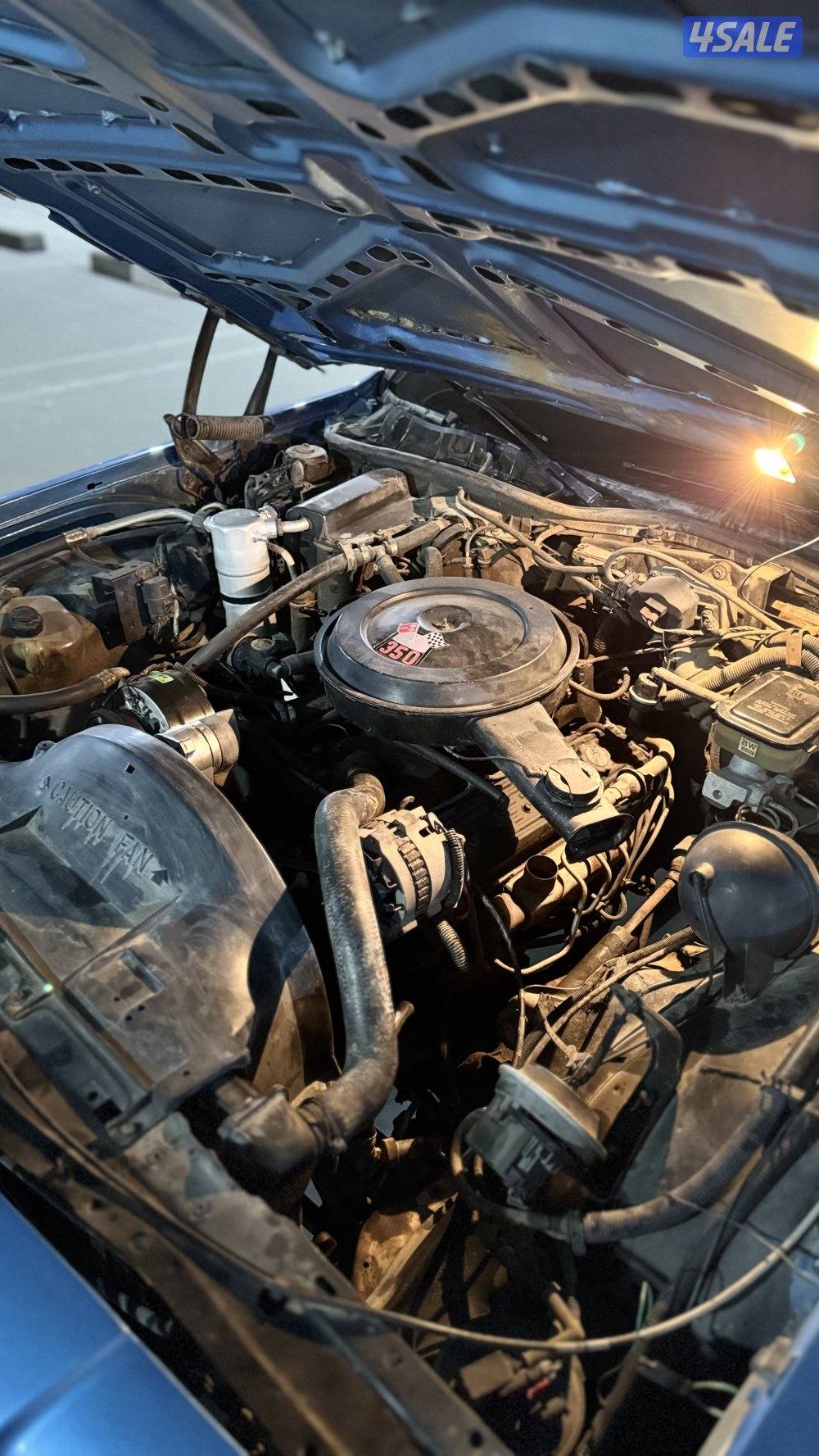 شفر كابرس 19901