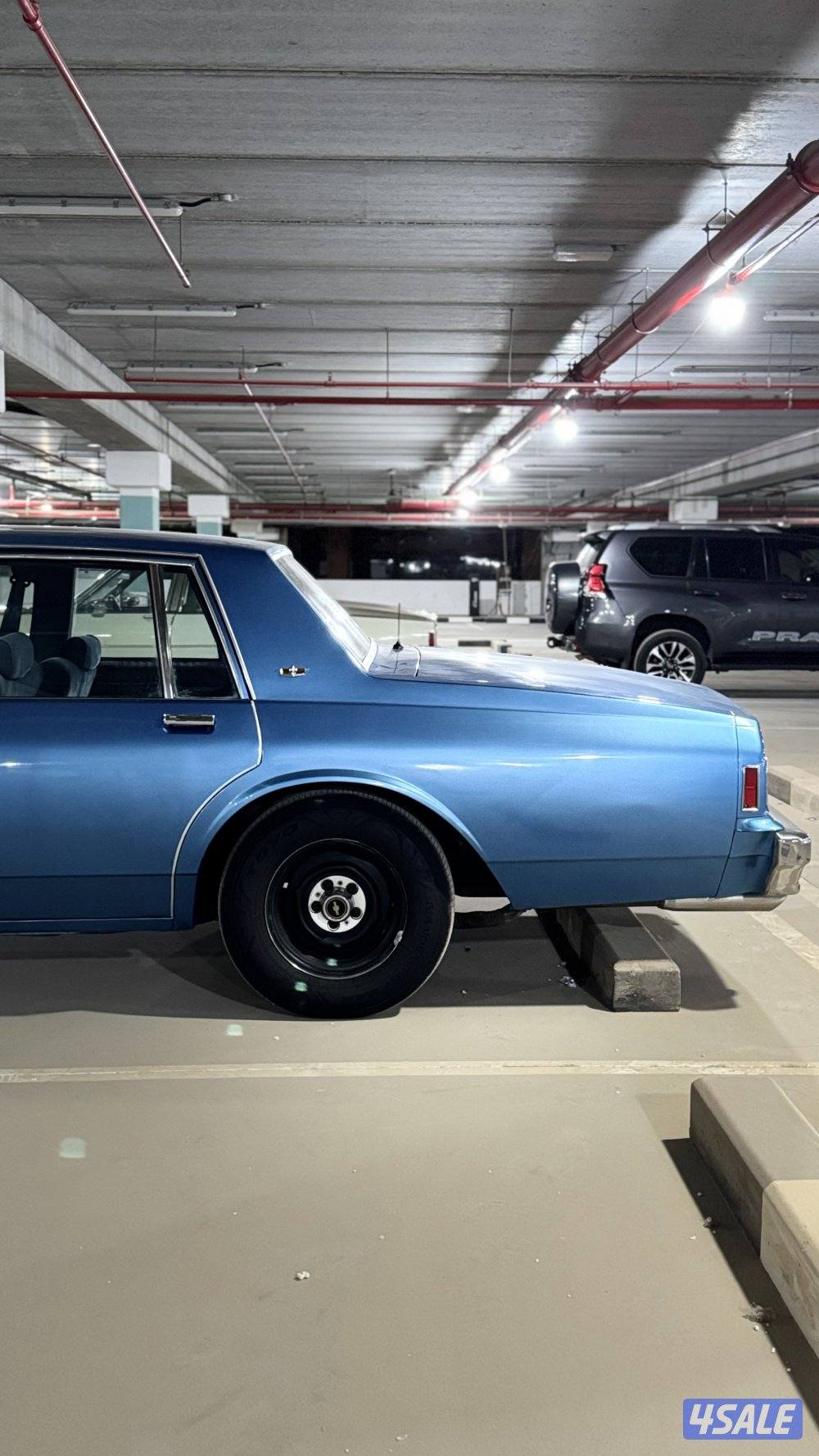 شفر كابرس 19903