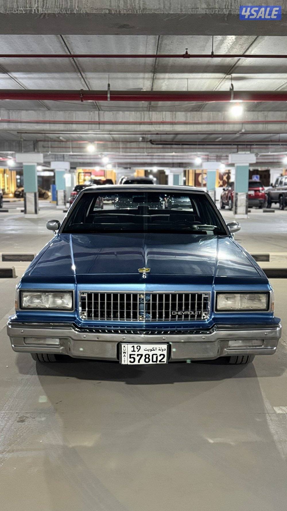 شفر كابرس 19904