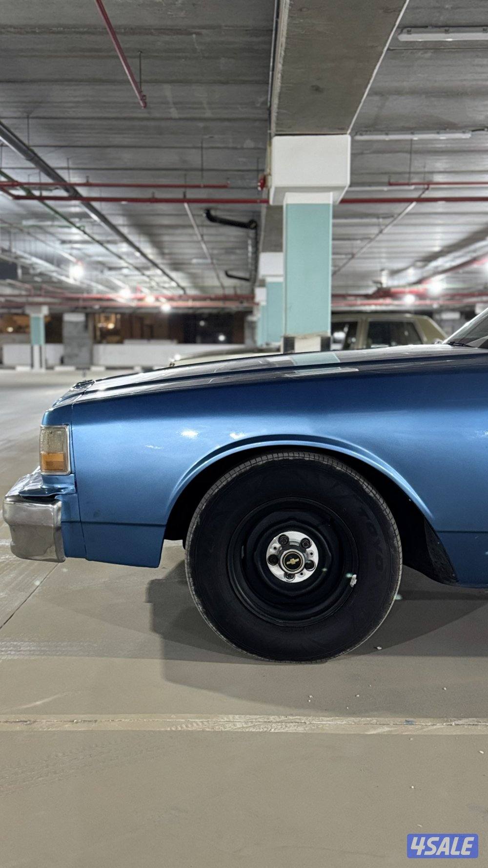 شفر كابرس 19905