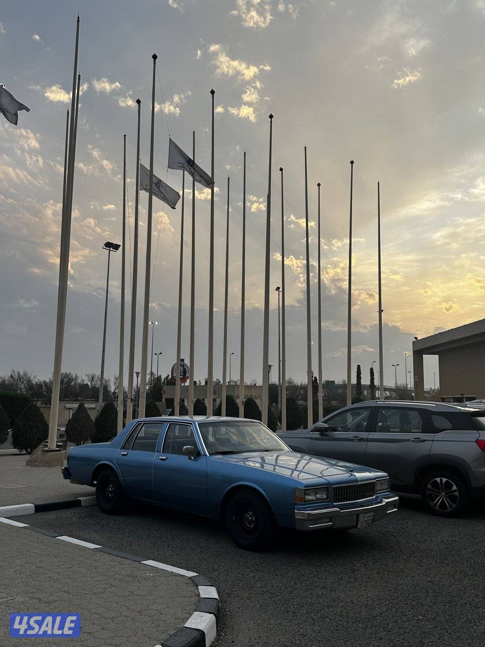 شفر كابرس 19908