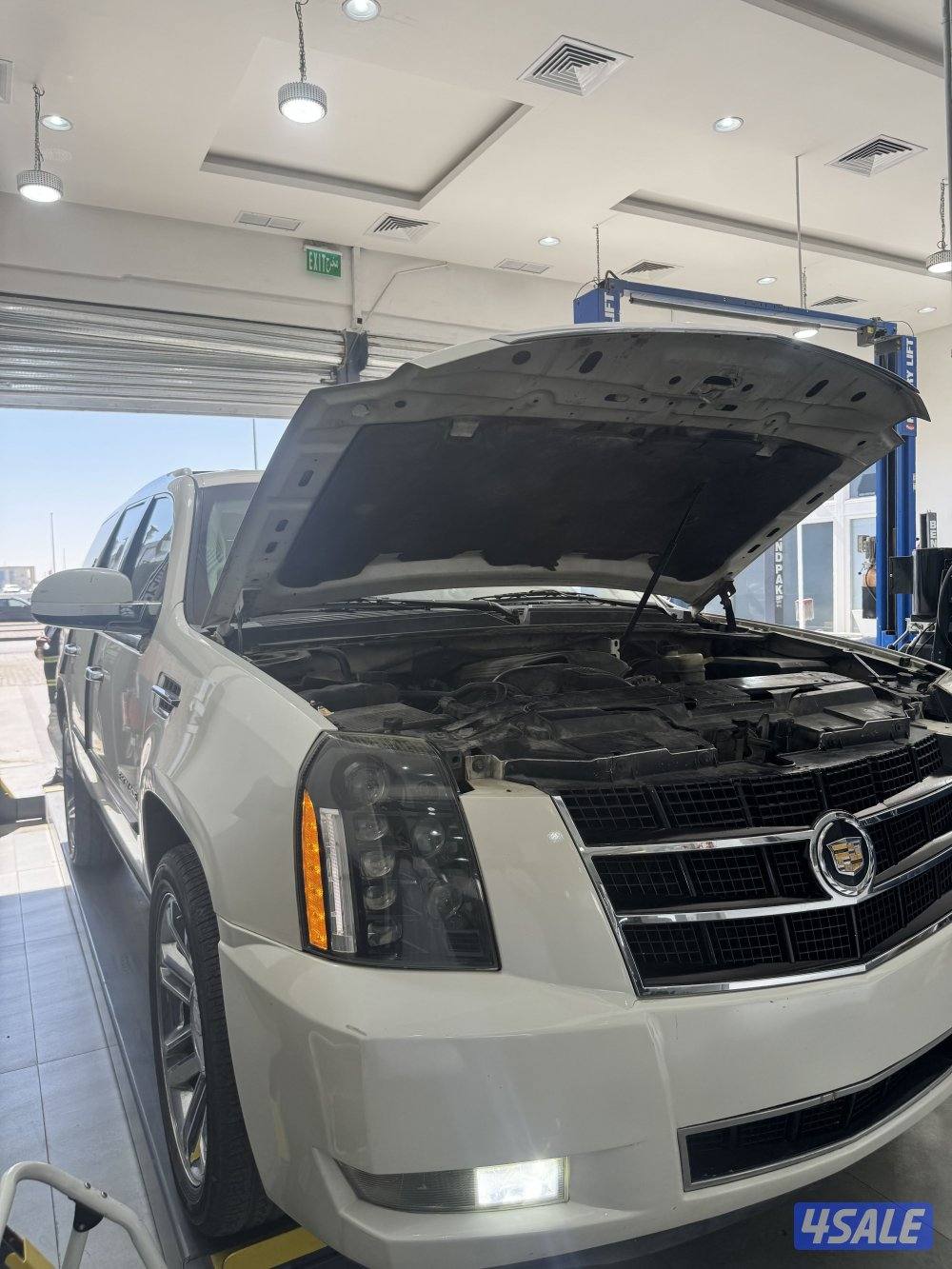 اسكاليد بلاتنيوم صبغ وكاله 20106