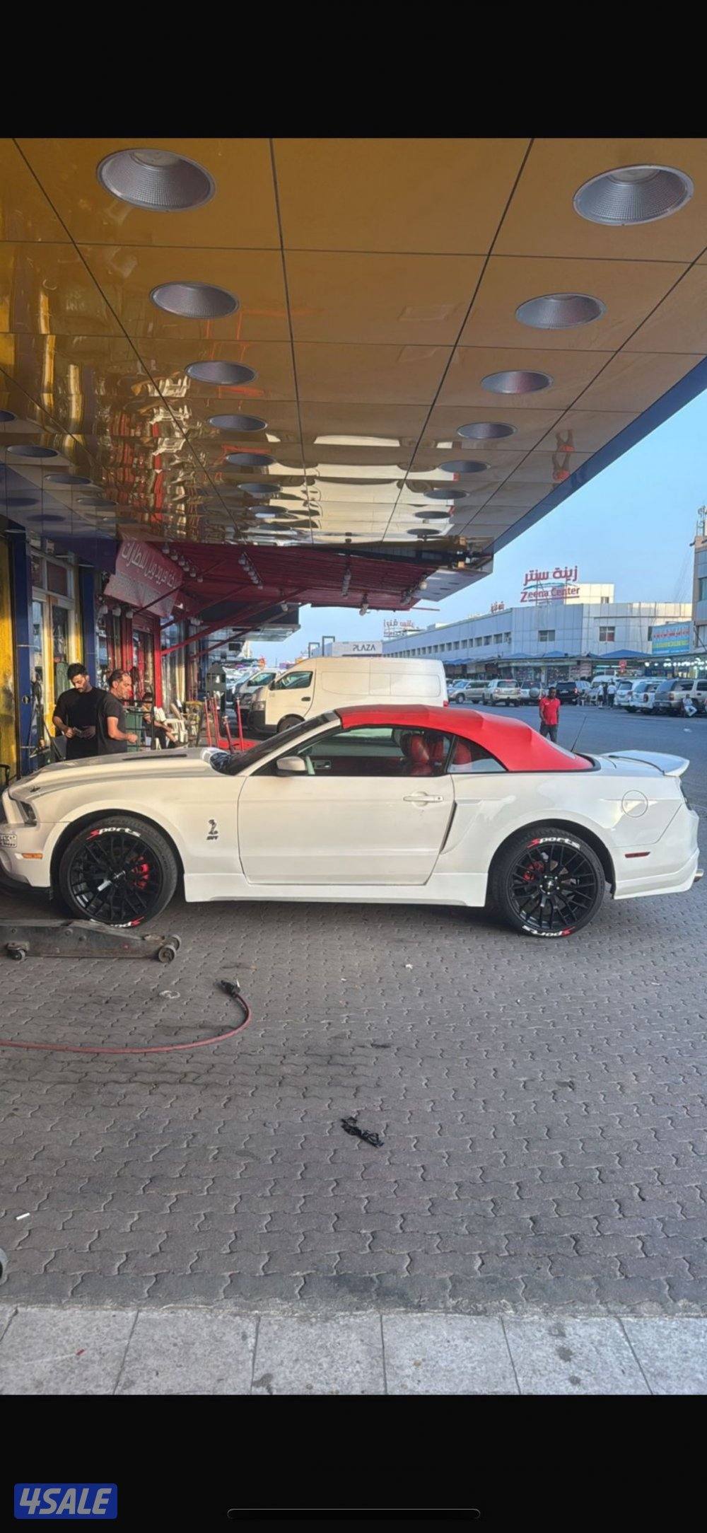 شااصي جييد1