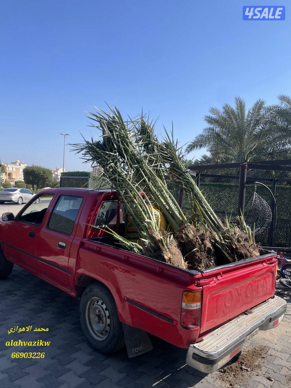 اهوازي للنخيل
صيانة للنخيل
تنظيف النخيل
تكريب النخيل
بيع وشراء النخيل2