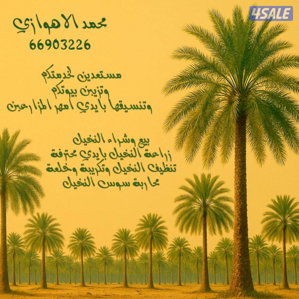 اهوازي للنخيل
صيانة للنخيل
تنظيف النخيل
تكريب النخيل
بيع وشراء النخيل3