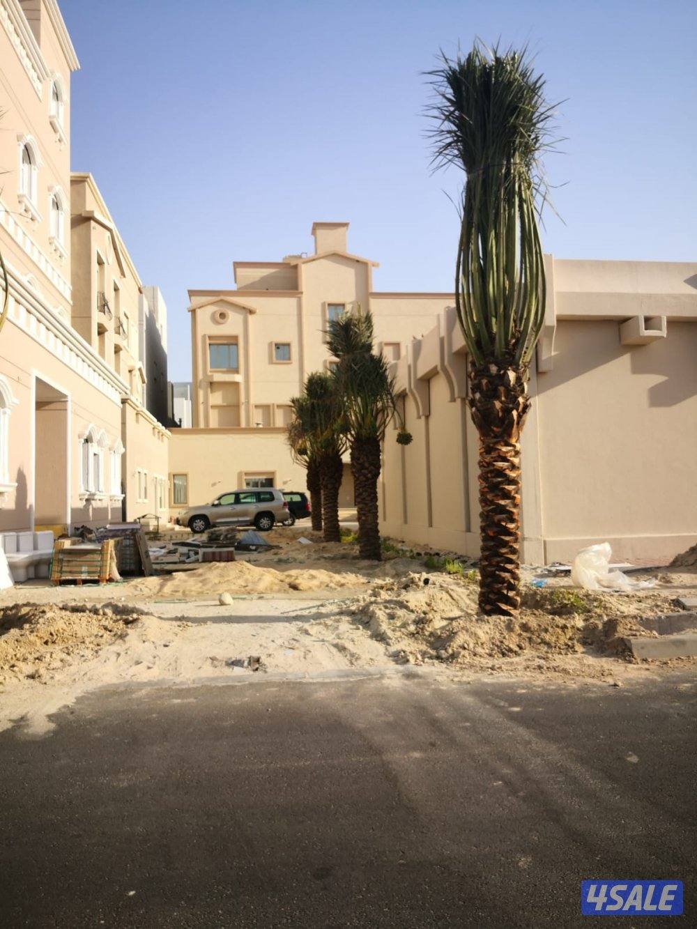 اهوازي للنخيل
صيانة للنخيل
تنظيف النخيل
تكريب النخيل
بيع وشراء النخيل7