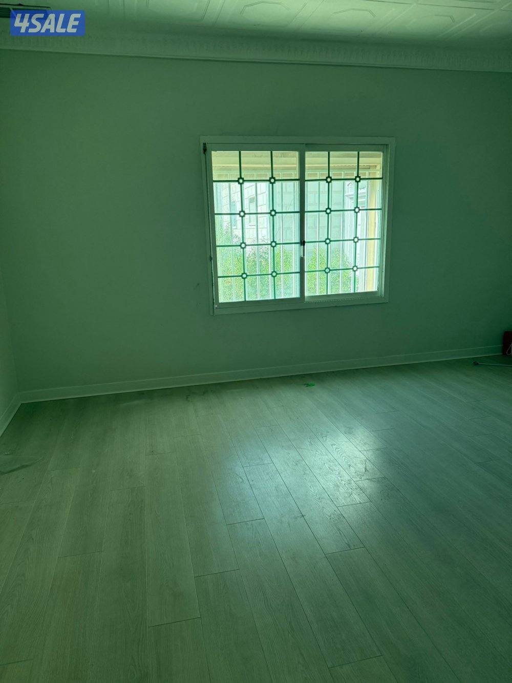 صباح الناصر1