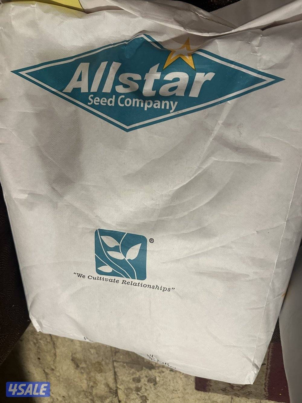للبيع بذور برسيم اول ستار امريكي كاف ١٠١1