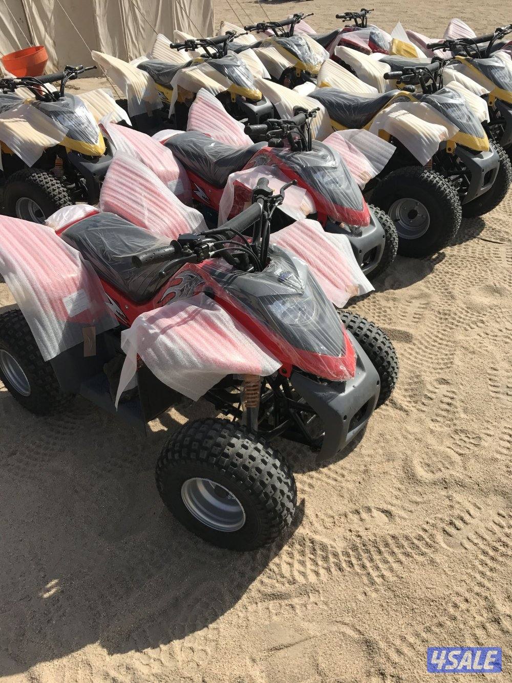 للإيجار بقيات العميري0