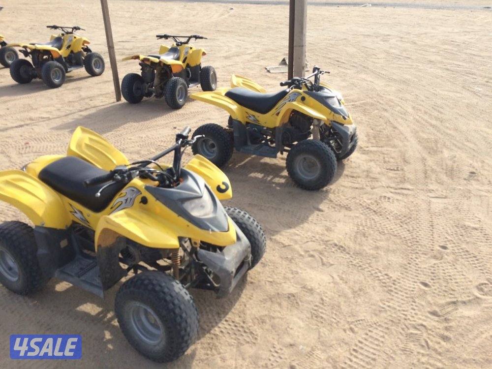 للإيجار بقيات العميري2