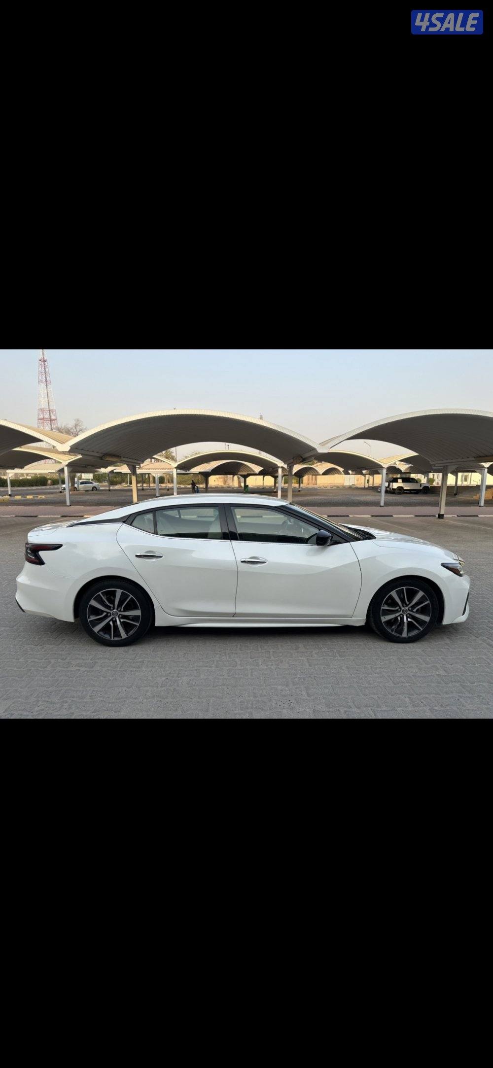 للبيع مكسيما ٢٠١٩ بحالة ممتازة3