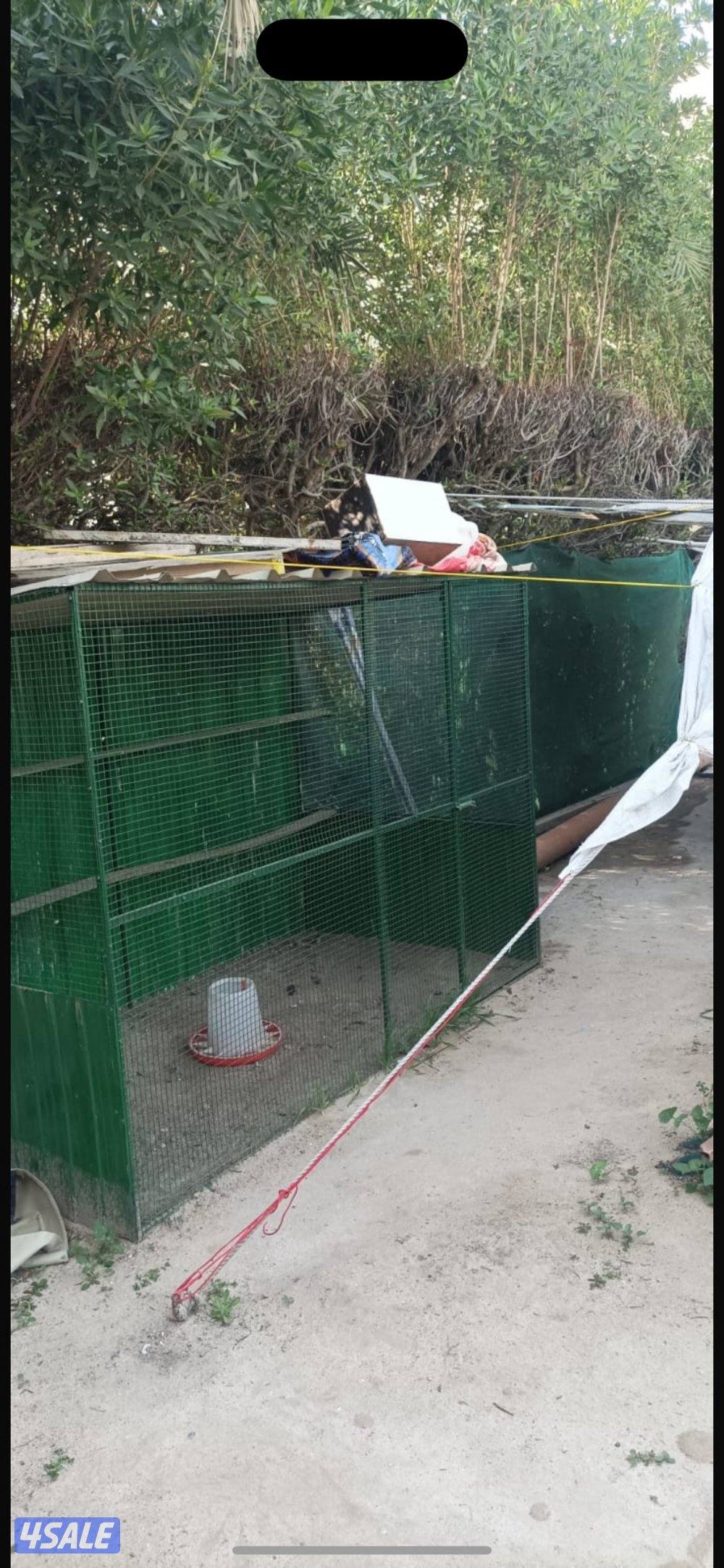 للبيع فقاسه ٥٢٨ بيضه واقفاص دجاج والبيع سمح0