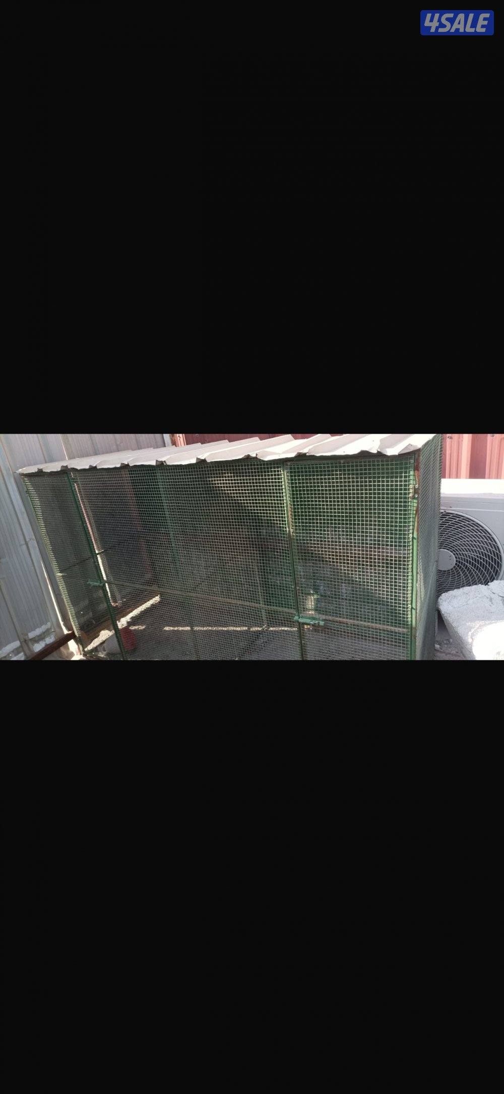 للبيع فقاسه ٥٢٨ بيضه واقفاص دجاج والبيع سمح1