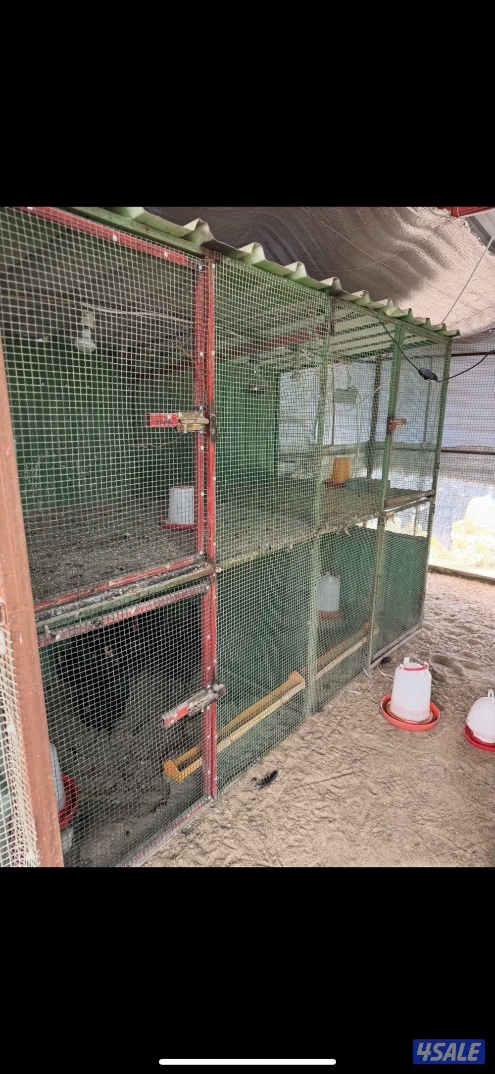 للبيع فقاسه ٥٢٨ بيضه واقفاص دجاج والبيع سمح5