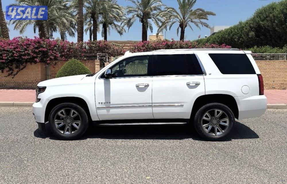 TAHOE LT2 جلد بيج فتحه كشن خلفي كامل  20184